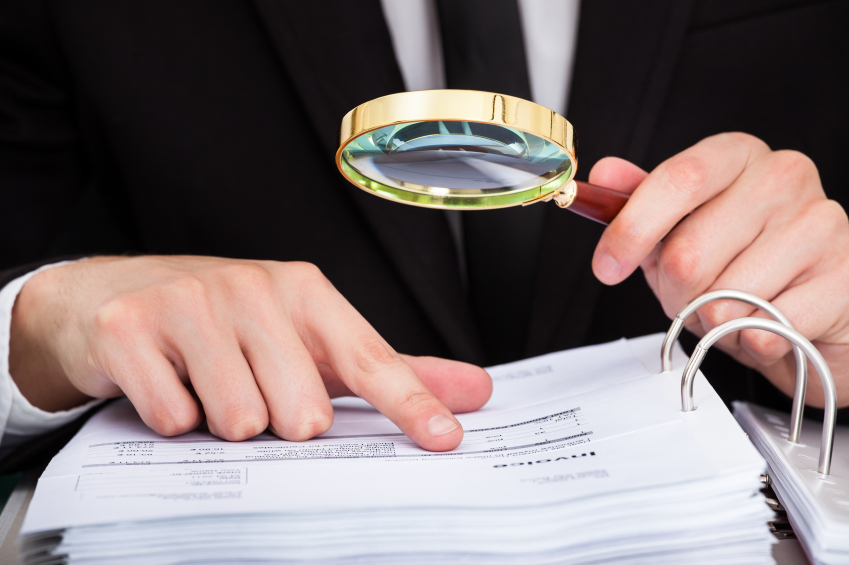 Professional Background Check Services
